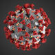 Covid-19 virus (image by FHI)